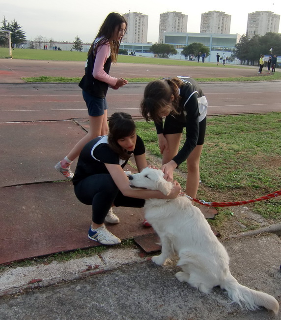 Zupanijsko natjecanje osnovnih skola u atletici 24.3. 2010.