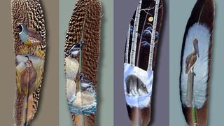 Slikarije na perju (foto: Andfunforall.blogspot.com)