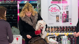 Đir po gradu 15. ožujka 2017.