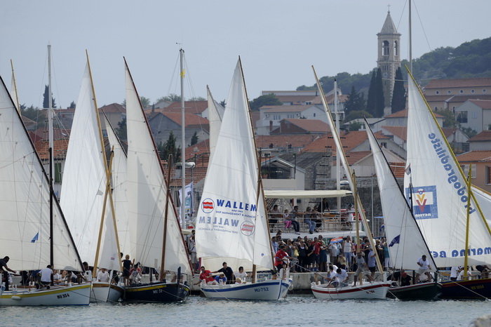 Otok Murter, 300912.
Latinsko idro, najveca regata tradicionalnih gajeta, leuta i kaica odrzana je danas u Murteru. Na regati je startalo oko 100 brodova.
Foto: Niksa Stipanicev / CROPIX Otok Murter, 300912.
Latinsko idro, najveca regata tradicionalnih gajeta, leuta i kaica odrzana je danas u Murteru. Na regati je startalo oko 100 brodova.
Foto: Niksa Stipanicev / CROPIX