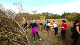 Na Vranskom jezeru održana akcija krčenja vegetacije Na Vranskom jezeru održana akcija krčenja vegetacije