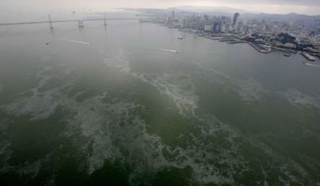 Image 1192365 (auto)