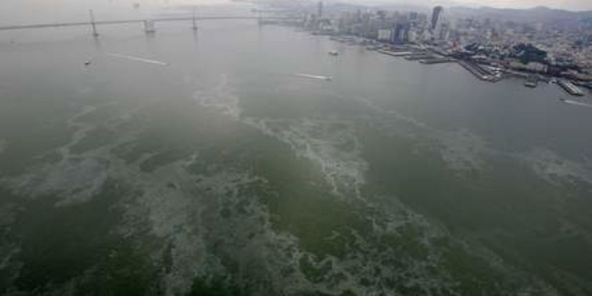 Image 1192365 (auto)