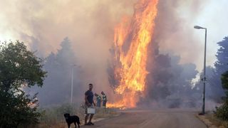 Požar na Plovaniji 11. kolovoza 2013. Foto: Željko Mršić/PIXSELL Požar na Plovaniji 11. kolovoza 2013. Foto: Željko Mršić/PIXSELL