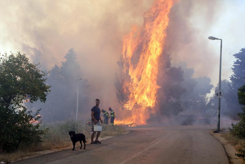 Požar na Plovaniji 11. kolovoza 2013. Foto: Željko Mršić/PIXSELL Požar na Plovaniji 11. kolovoza 2013. Foto: Željko Mršić/PIXSELL