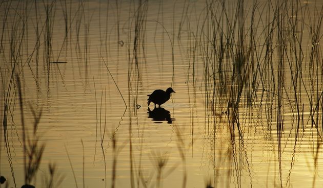 Jutro na Vranskom jezeru