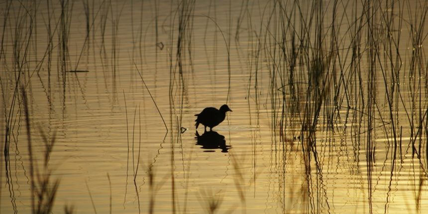 Jutro na Vranskom jezeru Jutro na Vranskom jezeru