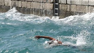 Guštanje u jugu na zadarskoj rivi 15. rujna 2015. Foto: Dino Stanin/PIXSELL