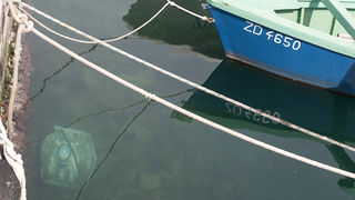 Zadar: Rasvjetni stup završio u moru, foto: Leo Banic