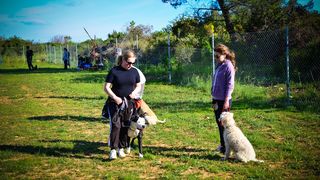 Kinološka udruga Malinois