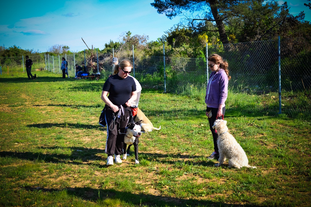 Kinološka udruga Malinois