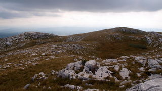 Svilaja, 18 rujna 2010