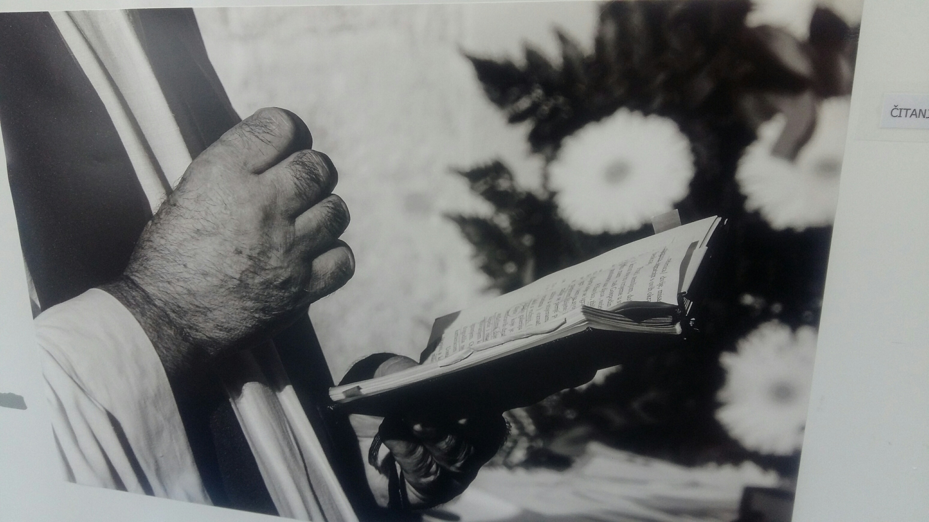 Izložba Jerolima Vulića: Zadrani ulovljeni u zanosu čitanja Izložba Jerolima Vulića: Zadrani ulovljeni u zanosu čitanja