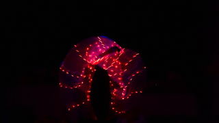 HNK Zadar: Premijera baleta “Carmen” Baletne udruge Pirueta HNK Zadar: Premijera baleta “Carmen” Baletne udruge Pirueta