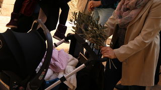 Cvjetnica 20. ožujka 2016: Nakon blagoslova maslinovih grančica, nadbisku Želimir Puljić predvodio je procesiju do katedrale sv. Stošije gdje je služio misno slavlje na kojem se pjevala Muka našeg Gospodina Cvjetnica 20. ožujka 2016: Nakon blagoslova maslinovih grančica, nadbisku Želimir Puljić predvodio je procesiju do katedrale sv. Stošije gdje je služio misno slavlje na kojem se pjevala Muka našeg Gospodina