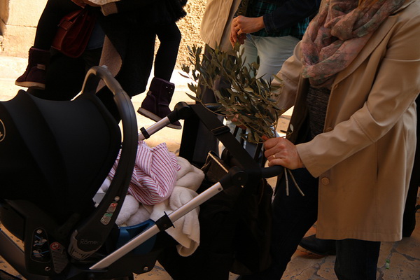 Cvjetnica 20. ožujka 2016: Nakon blagoslova maslinovih grančica, nadbisku Želimir Puljić predvodio je procesiju do katedrale sv. Stošije gdje je služio misno slavlje na kojem se pjevala Muka našeg Gospodina Cvjetnica 20. ožujka 2016: Nakon blagoslova maslinovih grančica, nadbisku Želimir Puljić predvodio je procesiju do katedrale sv. Stošije gdje je služio misno slavlje na kojem se pjevala Muka našeg Gospodina