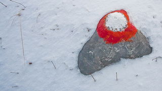 Đir do vrha Zečjak na sjevernom Velebitu, Foto: Leo Banić