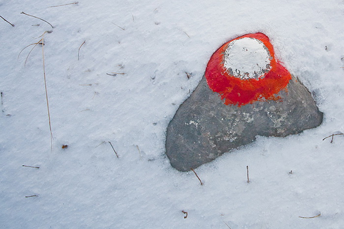 Đir do vrha Zečjak na sjevernom Velebitu, Foto: Leo Banić