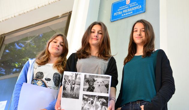 Učenice sedmog razreda pokrenule akciju pomaganja napuštenim psima i macama, foto: I. Perinčić