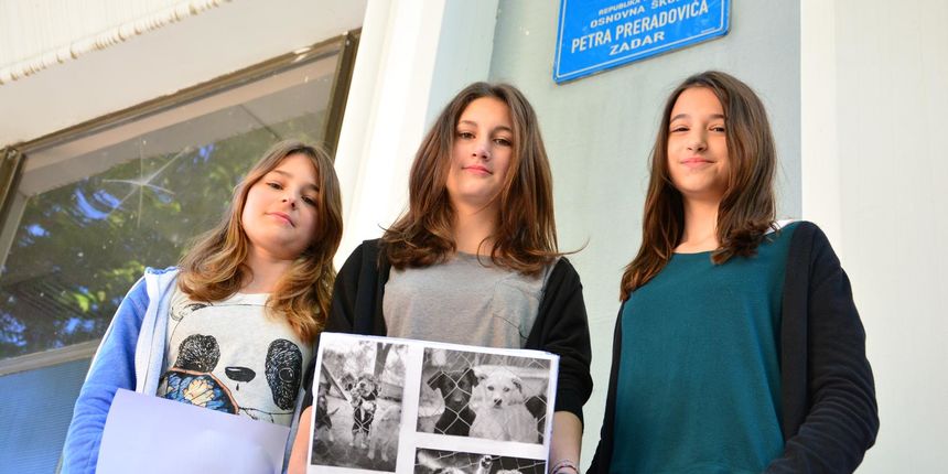 Učenice sedmog razreda pokrenule akciju pomaganja napuštenim psima i macama, foto: I. Perinčić