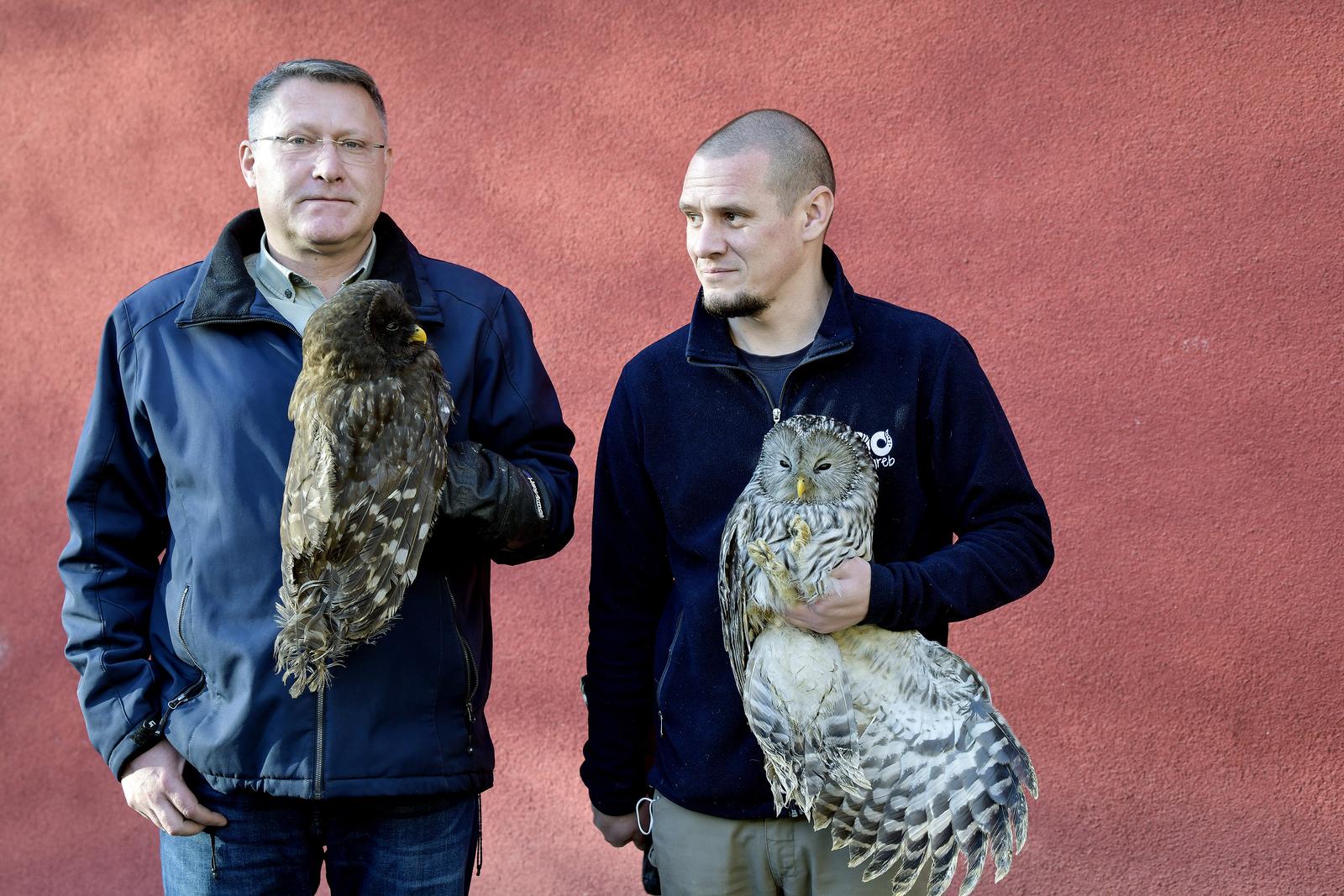 Rastopit će vam srce: Ozlijeđene sove na oporavku u zagrebačkom Zološkom vrtu