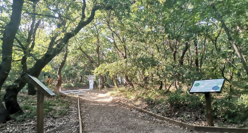 Dubrava, Pag Dubrava, Pag