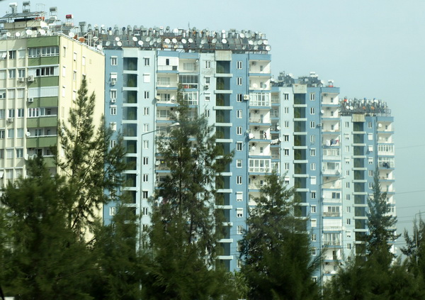 OLYMPUS DIGITAL CAMERA OLYMPUS DIGITAL CAMERA