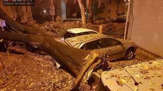 Jak vjetar srušio stablo na parkirane automobile kod OŠ Petar Preradović na Poluotoku