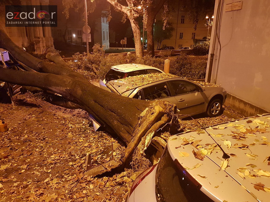 Jak vjetar srušio stablo na parkirane automobile kod OŠ Petar Preradović na Poluotoku