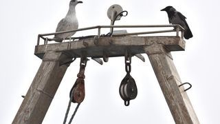 Zadar već treći dan okovan gustom maglom. Foto: Dino Stanin/Pixsell