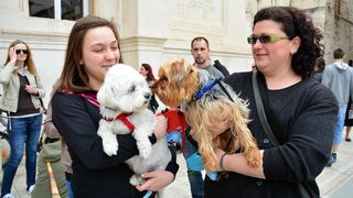 Skup podrške za NO KILL skloništa za životinje,  foto Iva Perinčić