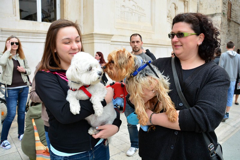 Skup podrške za NO KILL skloništa za životinje,  foto Iva Perinčić