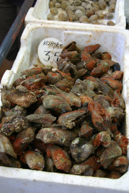 Image 1207683 (auto)