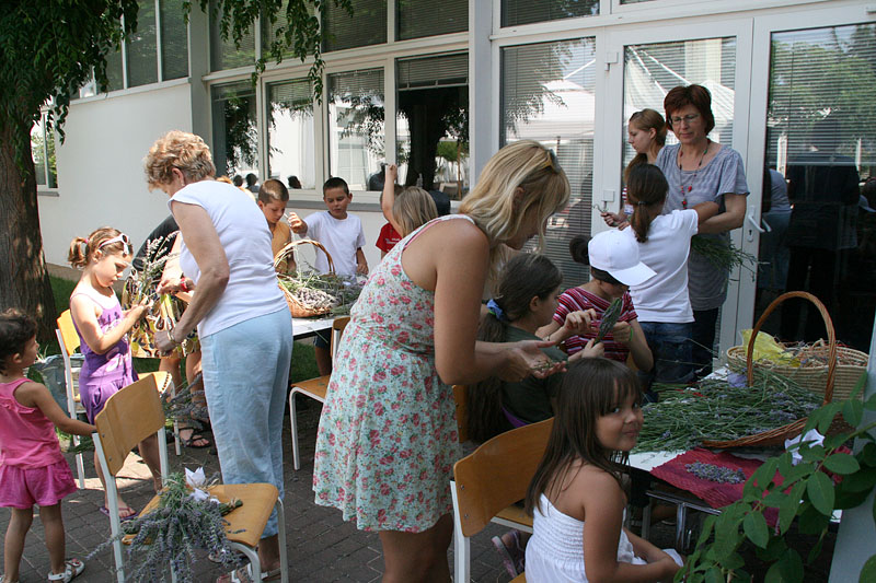 GKZD: Dječja radionica izrade stručaka i jastučića od lavande, Foto: Lucija Juravić