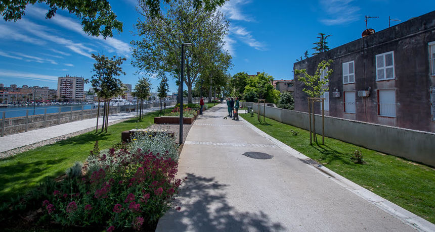 Bedemi, cvijeće Bedemi, cvijeće