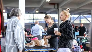 Izložba pasa na Zagrebačkom velesajmu Izložba pasa na Zagrebačkom velesajmu