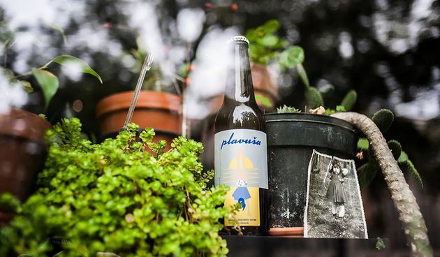 Craft pivo Plavuša- Brlog zadružne pivovare