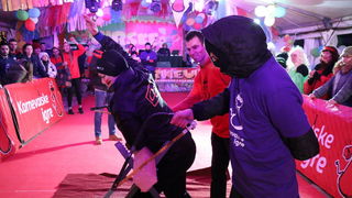 Karnevalske igre: Slovenski “lopovi” odnijeli pregršt zlata s Vira