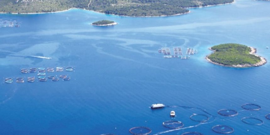 Cromaris, mrijestilište, ribarstvo, marikultura, foto: www.poslovni.hr