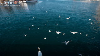 Đir po gradu, subotnja špica 9. ožujka 2019. Đir po gradu, subotnja špica 9. ožujka 2019.