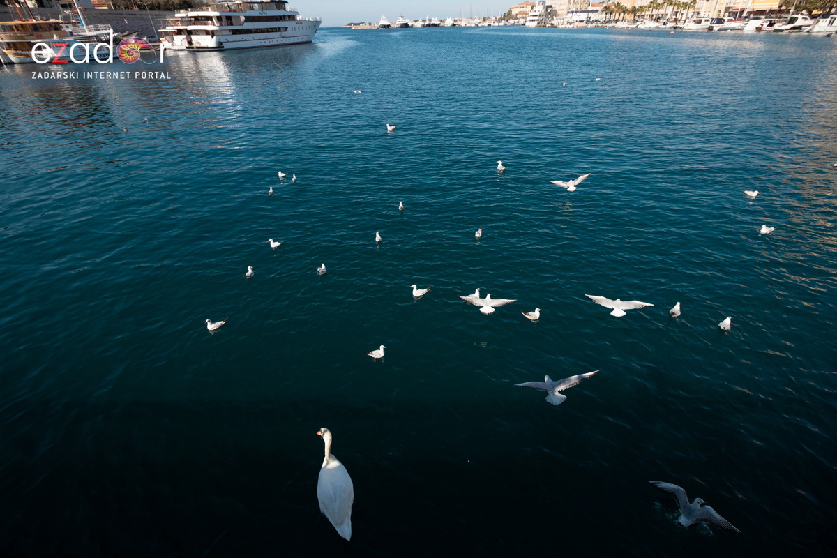 Đir po gradu, subotnja špica 9. ožujka 2019. Đir po gradu, subotnja špica 9. ožujka 2019.