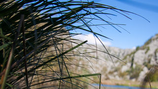 Izlet na Kudin most, foto: Darko Belančić Izlet na Kudin most, foto: Darko Belančić