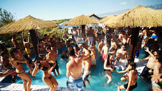 Image 1175655 (auto)