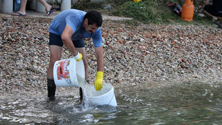Karma:Počela akcija čišćenja Carske fontane Karma:Počela akcija čišćenja Carske fontane