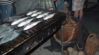 Ribarska festa zadarskih studenata u zagrebackom klubu Roko Ribarska festa zadarskih studenata u zagrebackom klubu Roko