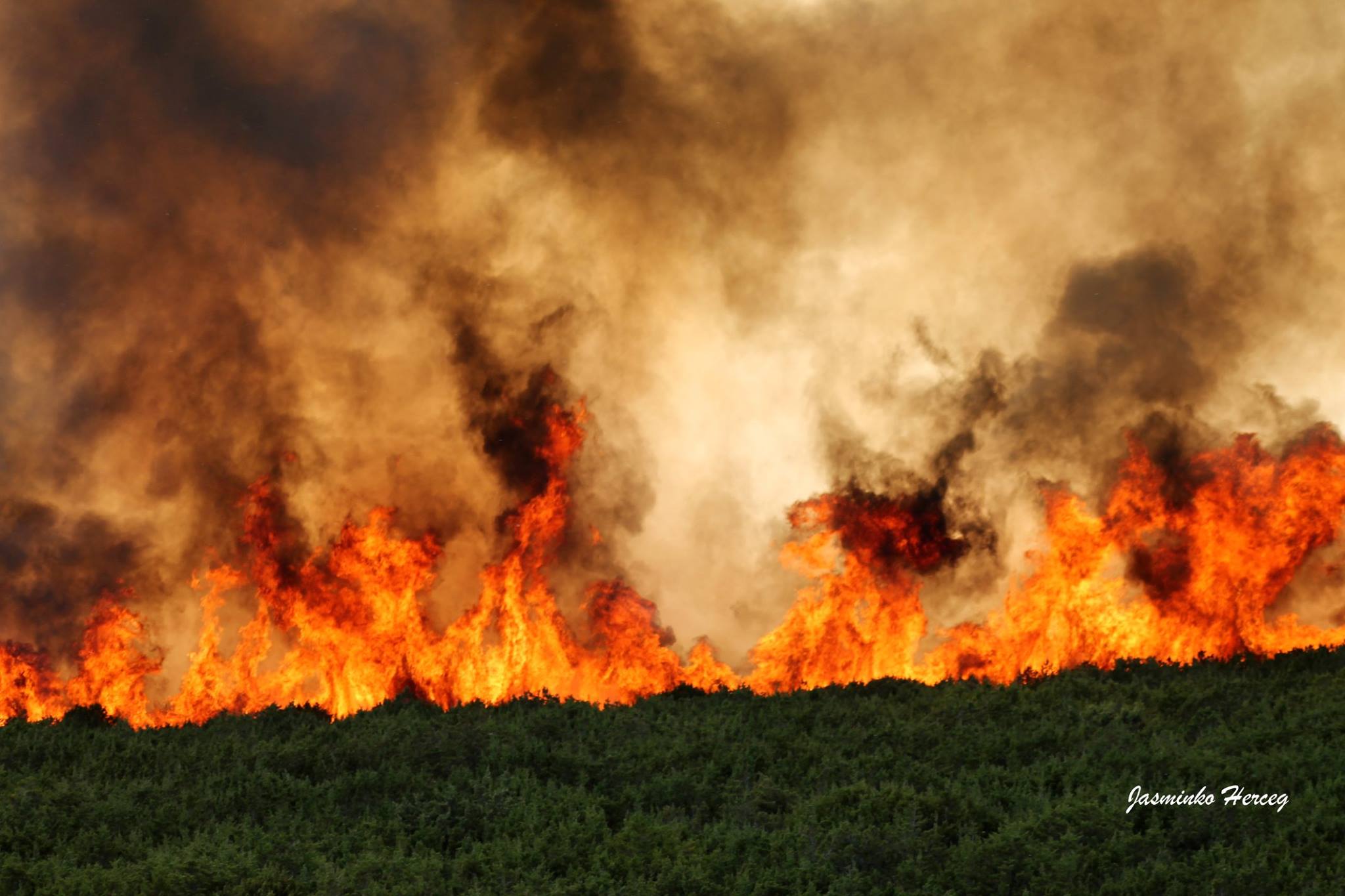 Lokaliziran požar kod Košljuna na otoku Pagu Lokaliziran požar kod Košljuna na otoku Pagu