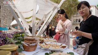 11. Festival smokava – Gastro smokva @ Muzej antičkog stakla 11. Festival smokava – Gastro smokva @ Muzej antičkog stakla