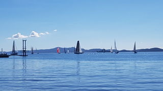 Zadarska Koka 2016. 22. listopada 2016. Foto: Mladen Malik Zadarska Koka 2016. 22. listopada 2016. Foto: Mladen Malik