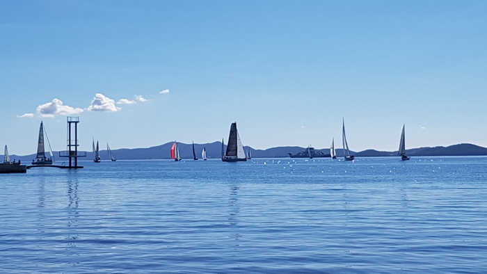 Zadarska Koka 2016. 22. listopada 2016. Foto: Mladen Malik Zadarska Koka 2016. 22. listopada 2016. Foto: Mladen Malik