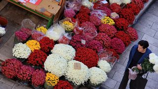 Započela prodaja cvijeća na zadarskoj tržnici, foto-I. Perinčić Započela prodaja cvijeća na zadarskoj tržnici, foto-I. Perinčić